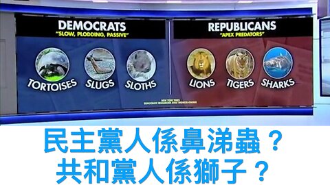 NPR以為有權收稅?／小甘迺壓制大藥廠措施／暫停運偷渡者到南蘇丹禁令／再有議員不支持老侵預算案／共和黨人為掠食者民主黨人為鼻涕蟲?／暫停新學生簽證 ｜《每日美國時評》2025年5月28日