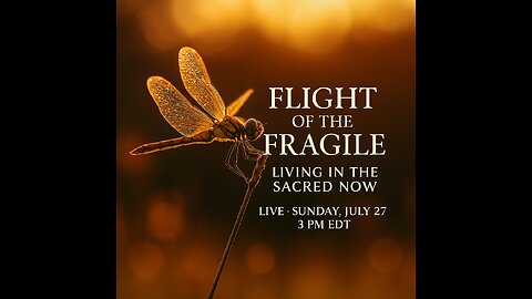 Flight of the Fragile: Living in the Sacred Now!