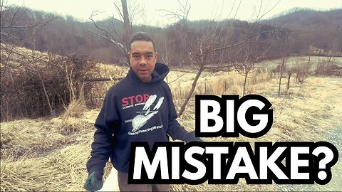 Sheep in the Orchard: Regenerative Gold or Tree Killing Disaster?