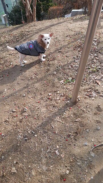 20251219. Jesus Christ Is KING.