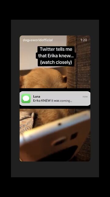 Christine Knapp Fekete ~ Erika Kirk She Knew!