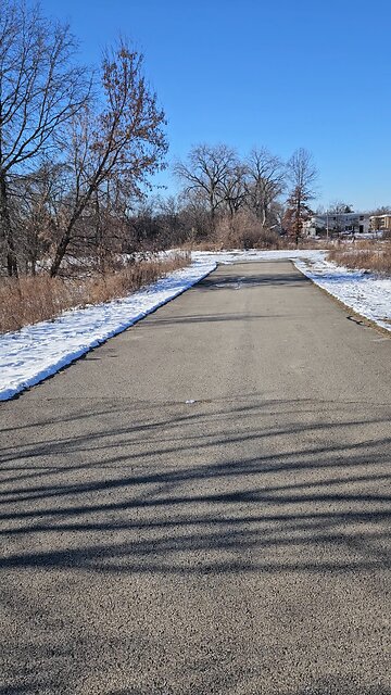 Leaping Deer Looking for Santa