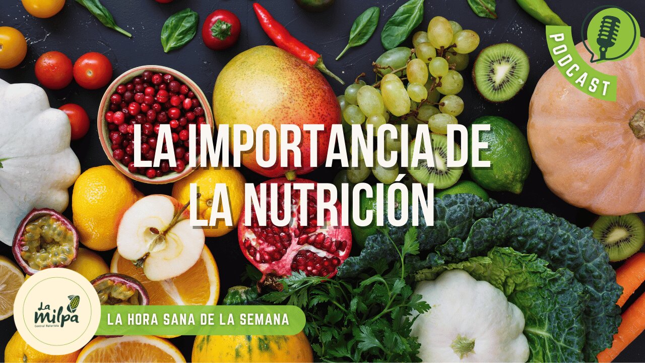 La Importancia de la Nutrición