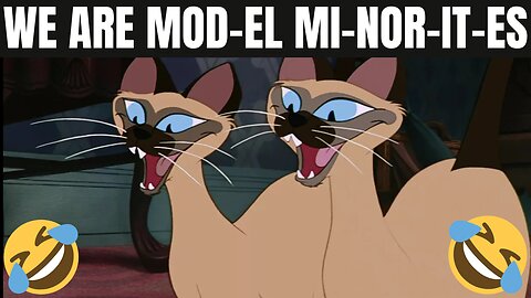 We Are Model Minorities | We Are Mod-el Mi-nor-it-es