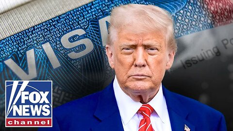 NO honest conversation has been had about this: Stephen Miller