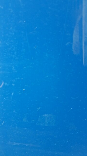 Smooth Move Exlax - take three