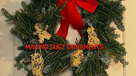 Making Suet Ornaments