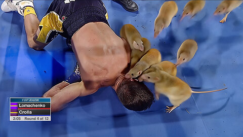 Boxing Knockouts but it's ruined by AI