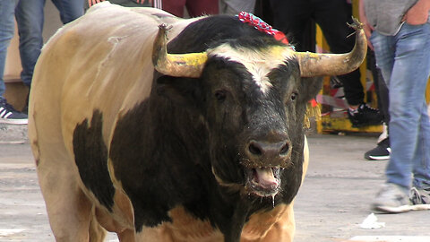 2025 05 17 LLIRIA VALDELLÁN Nº7