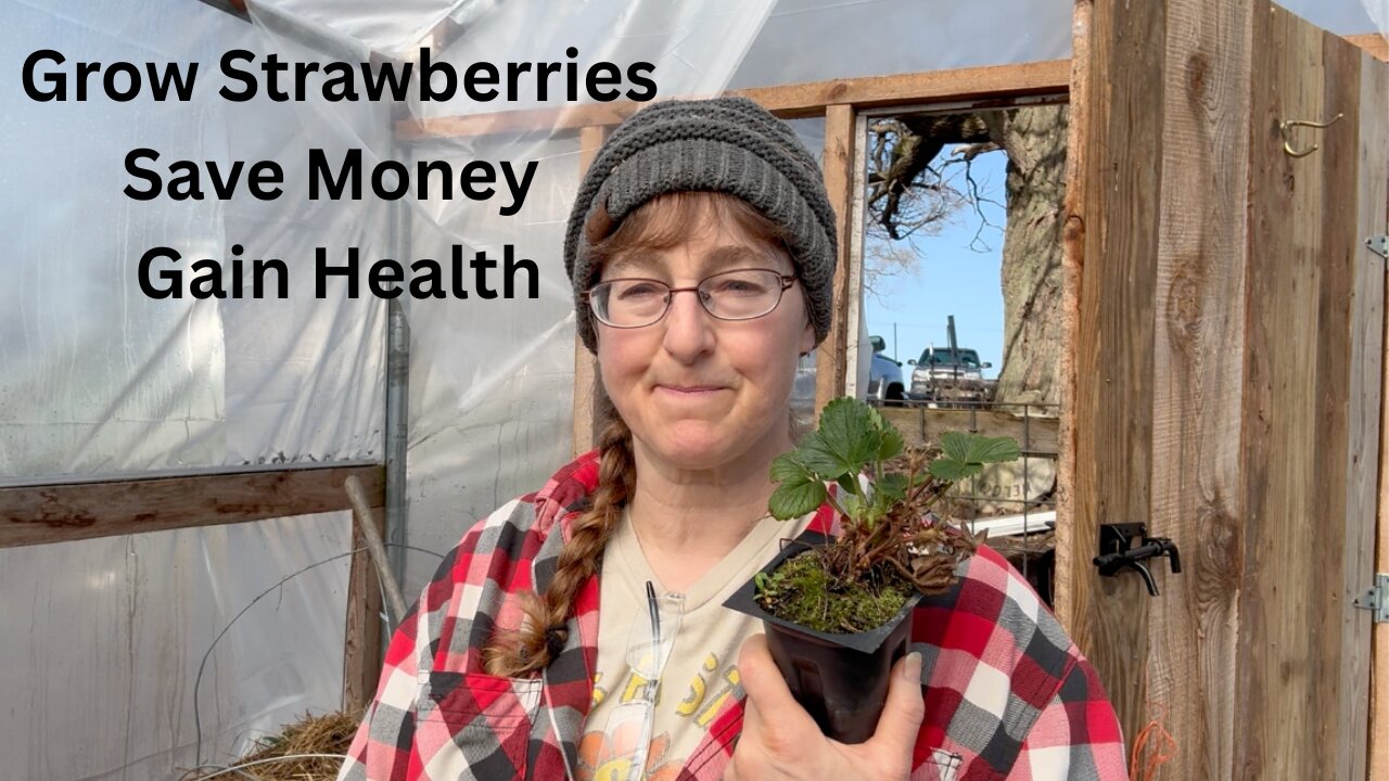 Homegrown Strawberries: The Ultimate Way to Saving Money & Boosting Health!