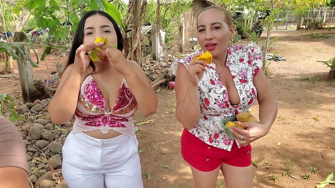 🔴-cosecha de mango negro😮por que le dicen a si las chicas nos cuentan