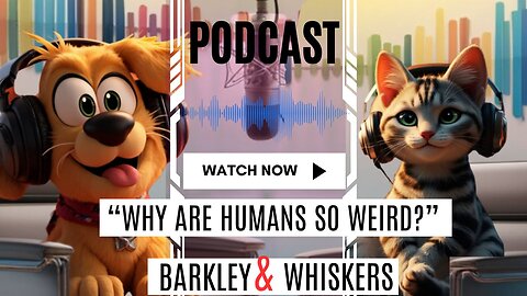 "Barkley & Whiskers Unleashed: Why Are Humans So Weird?"// animated short film funny in english