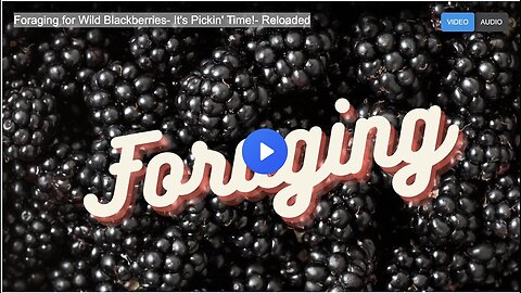 "Ultimate Guide to Foraging Wild Blackberries - Unleash your Inner Gatherer"