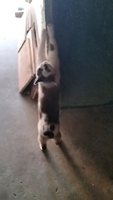 Detroit Michigan Sky Report March 14th 2025