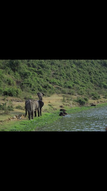 𝙲𝚑𝚊𝚗𝚐𝚞 𝙸𝚜𝚕𝚊𝚗𝚍