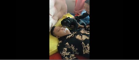 Try Not to Laugh Challenge: Funniest Video Collection (Part 002)