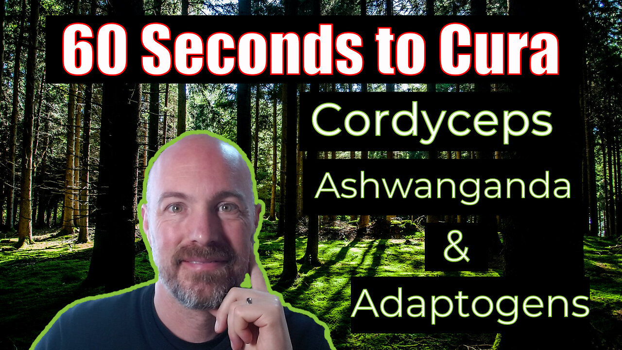 Unlock the Power of Adaptogens: A 60-Second Secret Revealed!
