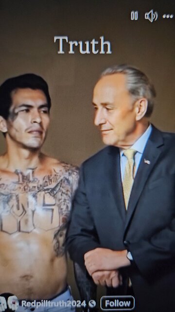 Democrats Love The MS13 More Than The American People Know Them By The Fruits The Bear