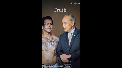 Democrats Love The MS13 More Than The American People Know Them By The Fruits The Bear
