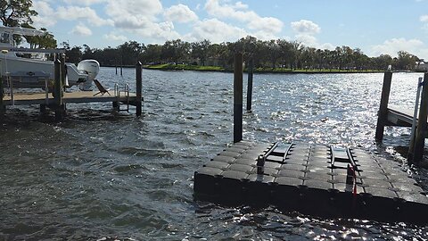 Rounding Up Cats in The Arctic!