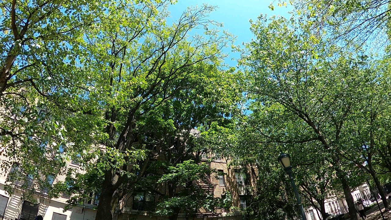 Make your dreams become a reality