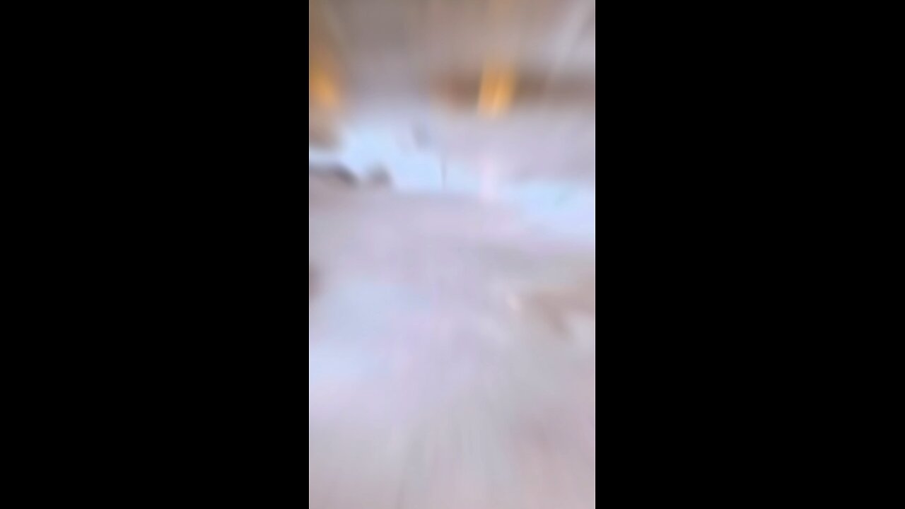 What Happened to This Dog is UNBELIEVABLE! High Heel Disaster! 😱