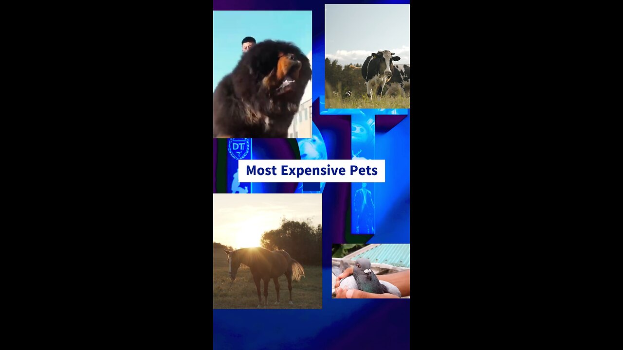 Most Expensive Pets