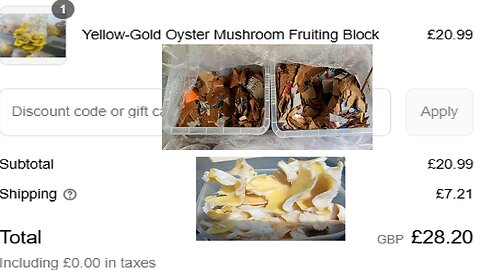 1, block into , 2, home grown , #mushrooms, mail