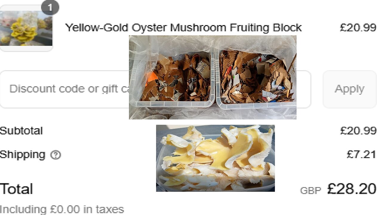 1, block into , 2, home grown , #mushrooms, mail