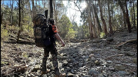 2-Day Solo Backpack Sambar Deer Hunt 🦌🏕️🔥