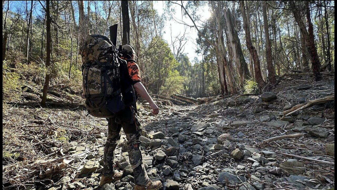 2-Day Solo Backpack Sambar Deer Hunt 🦌🏕️🔥