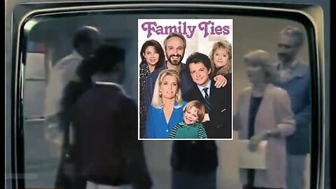 TV Sitcom Propaganda Machine · Please Don't Call Me Racist · Blacks Just Like Whites