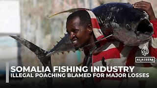 Somali fishermen struggle as trawlers drain millions from coastal waters
