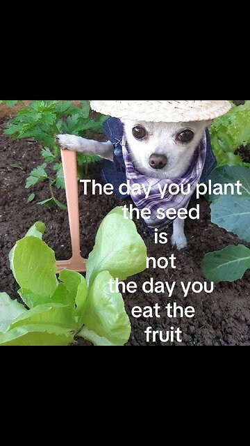 “If you were the devil, how would you destroy the next generation?”