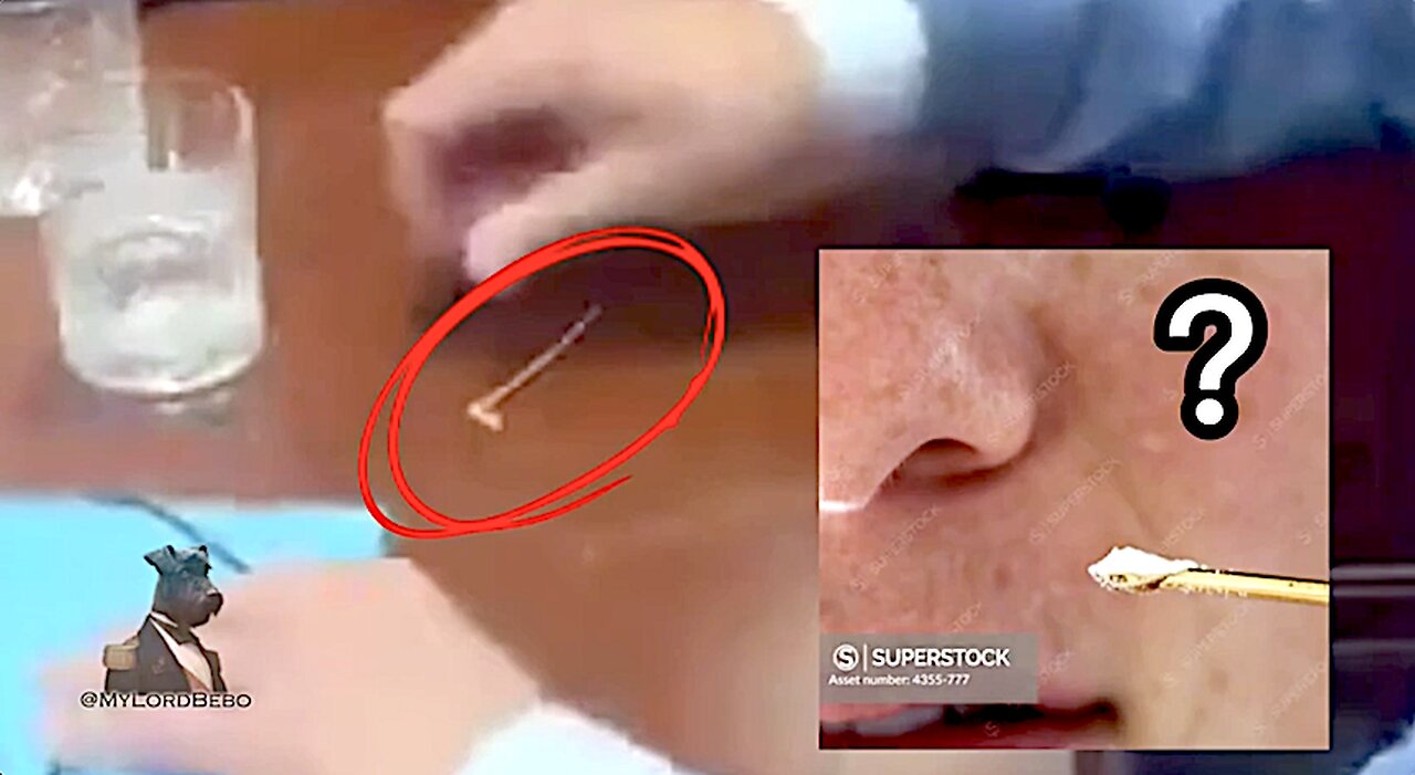 We Are Being Sent into WW3 by a Pack of Cokehead Globo-Homo-Pedos