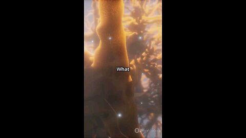 The secret brain