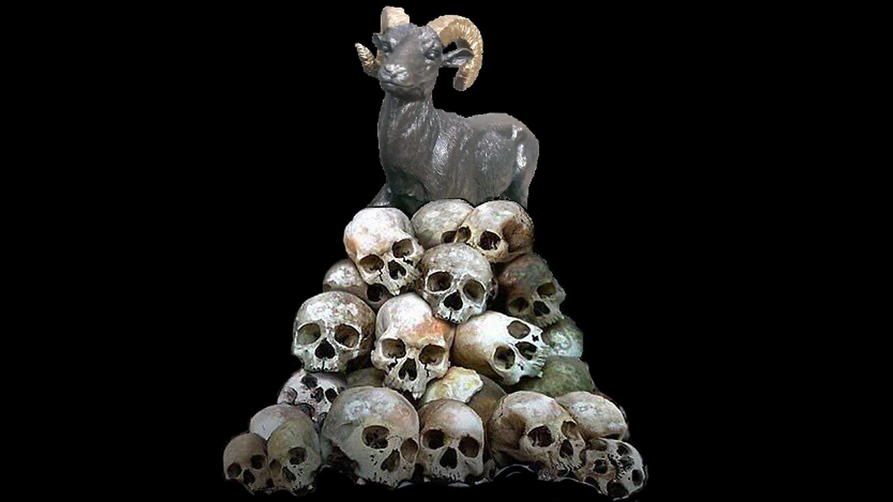 🍁 600 - LEAF SCHIZOS UNITE!