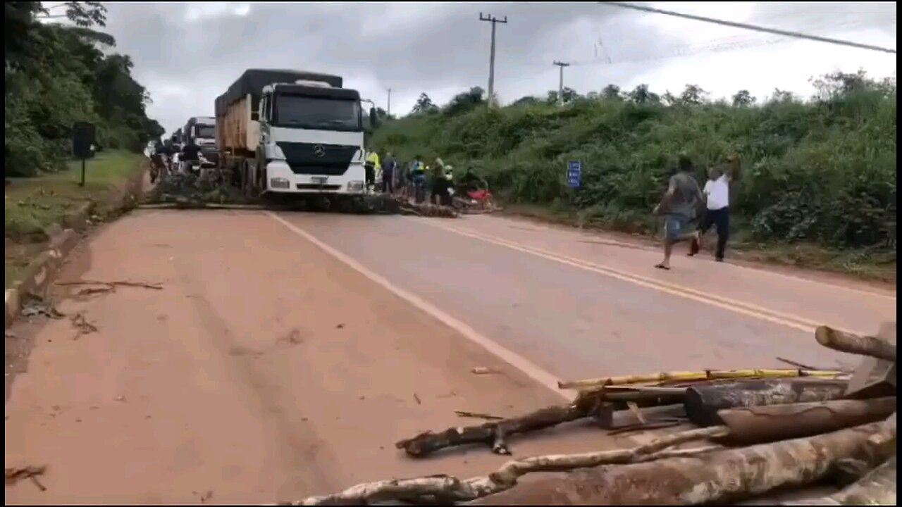 Do Indians cut down trees to collect tolls?