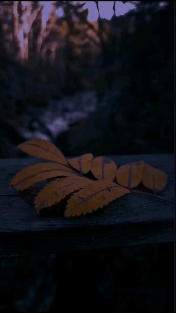 Feelings - Sumit Goswami 🎉 | New WhatsApp Status | love song lyrics | aesthetic status | #trending