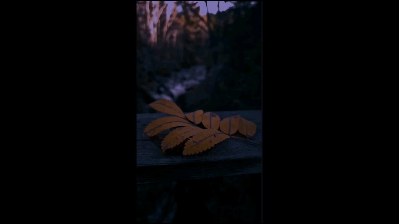 Feelings - Sumit Goswami 🎉 | New WhatsApp Status | love song lyrics | aesthetic status | #trending