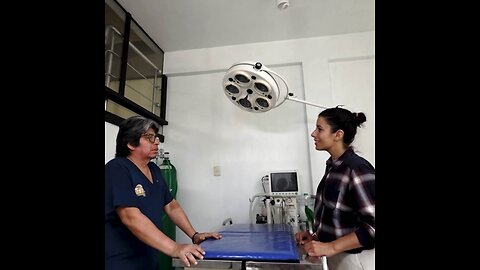 El rescate de la fauna en peligro en la Amazonía