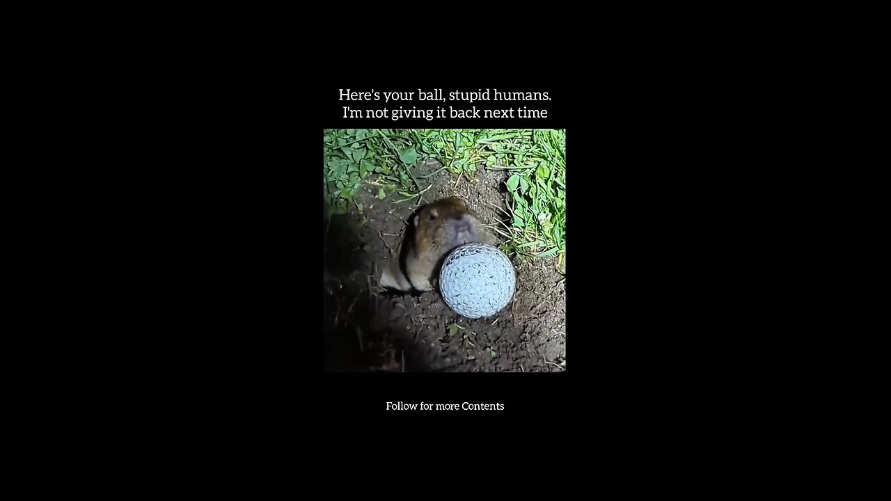"This is my Home! Homo Sapiens"