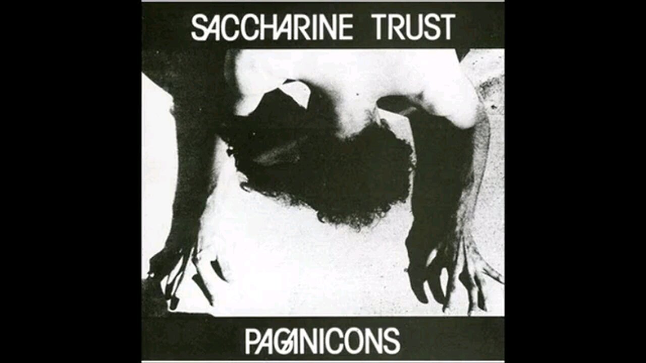 SACCHARINE TRUST ....PAGAINICONS