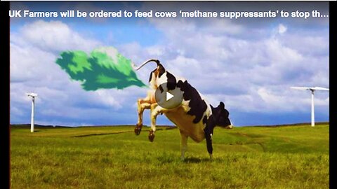 "UK Government Mandates Methane Suppressants for Farm Cows"