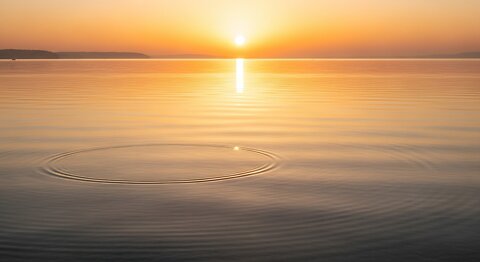 Find Your Inner Peace A Buddhist Guide to Unwavering Happiness