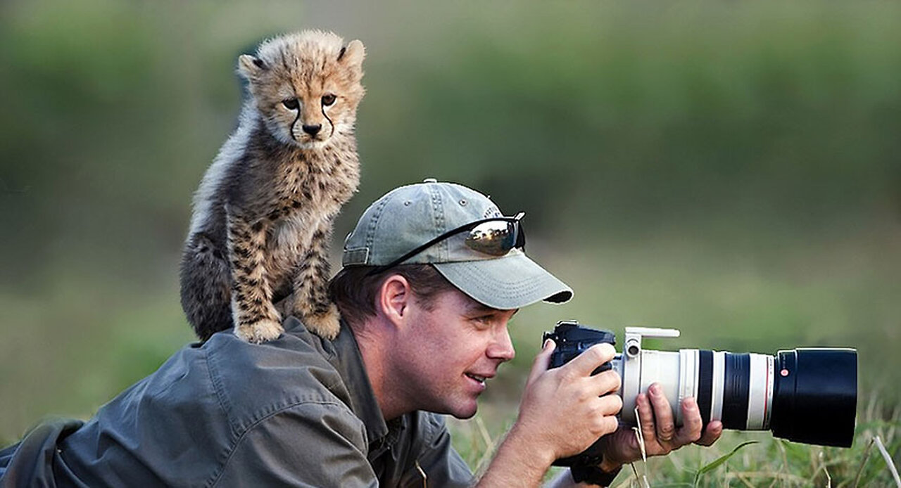 Photographers vs Wild Animals 📸🐾 | Unexpected Encounters