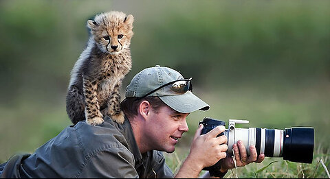 Photographers vs Wild Animals 📸🐾 | Unexpected Encounters