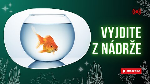 Bývaš v akváriu? Pozrime sa na to.