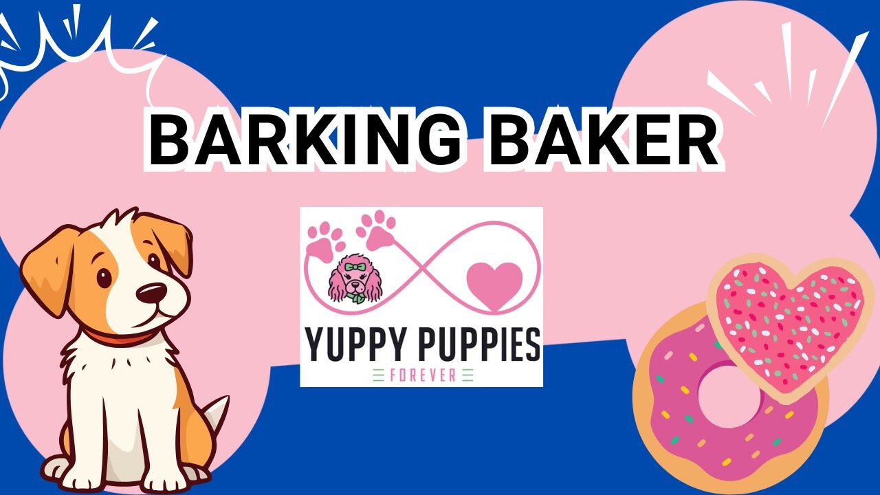 Make your own natural dog treats, on this Pawsitive Talk time we are baking