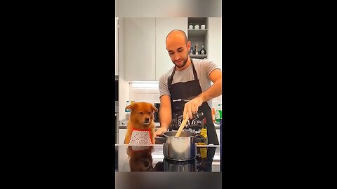 dog reaction
